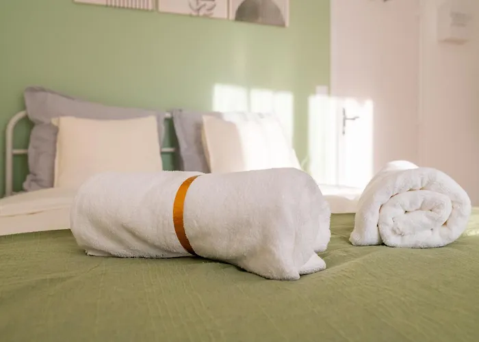 Aceta Saint-quentin - Jardin Sauge Saint-Quentin (Aisne)